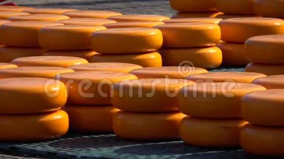 荷兰阿尔克马的奶酪市场视频的预览图