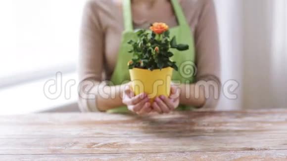 紧紧抓住女人的手拿着玫瑰花丛在锅里视频的预览图