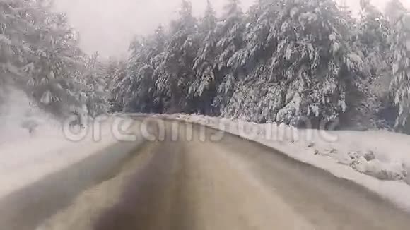 冬季森林道路股票录像视频的预览图