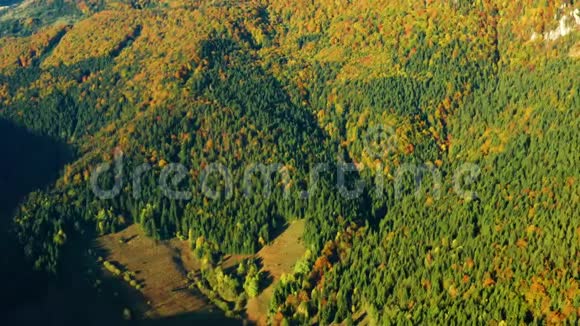 秋天山上色彩斑斓的树木的空中拍摄视频的预览图