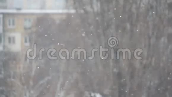 雪落在城市模糊的背景上视频的预览图