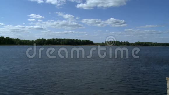 春季景观湖和岸边森林视频的预览图
