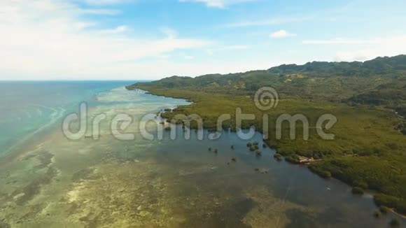亚洲的红树林菲律宾博霍岛视频的预览图
