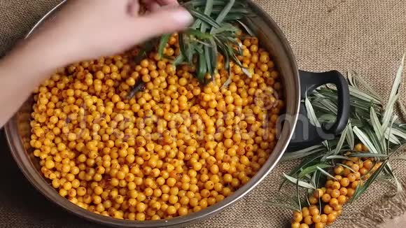 沙棘沙棘浆果放在碗里视频的预览图