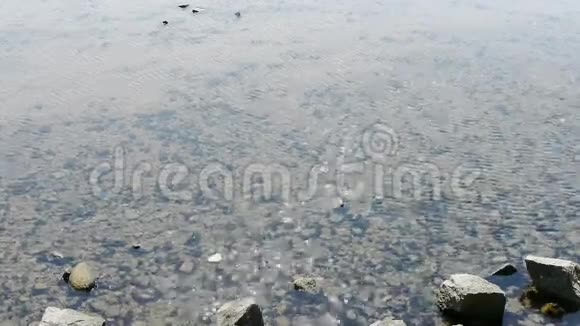 清澈透明的浅水湾波纹闪闪发光的湖砾石视频的预览图