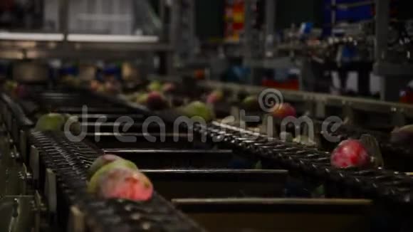 芒果水果系列工业包装视频的预览图