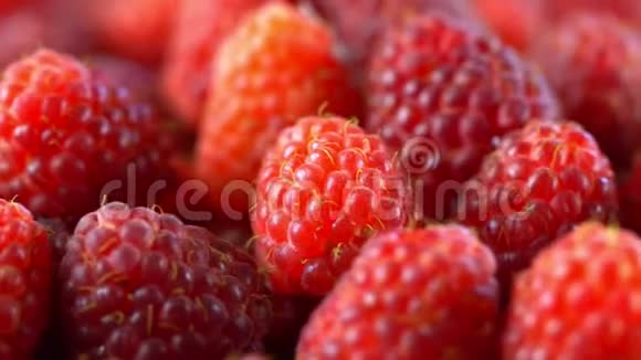 新鲜树莓水果作为食物背景健康食品有机营养从上面看视频的预览图