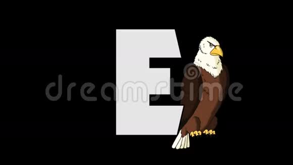 字母E和鹰背景视频的预览图