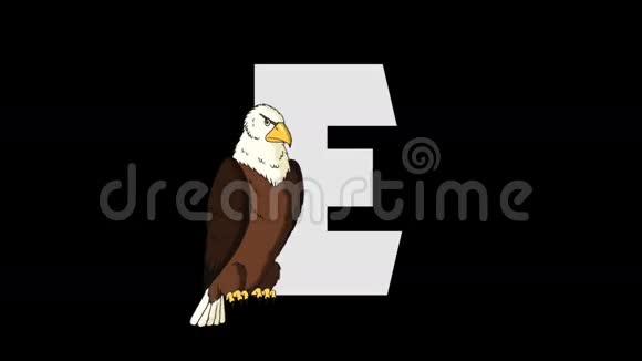 字母E和鹰前景视频的预览图
