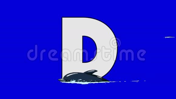 字母D和海豚前景视频的预览图