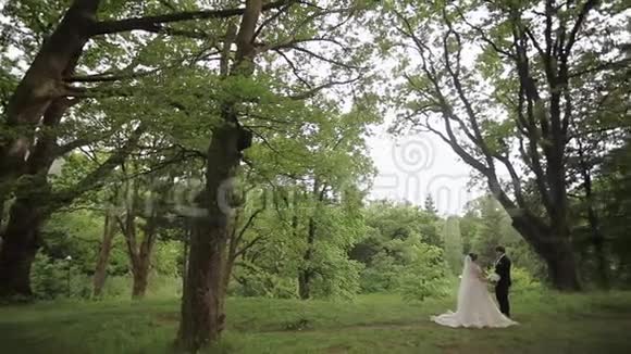 新郎和新娘结婚那天在森林里散步视频的预览图