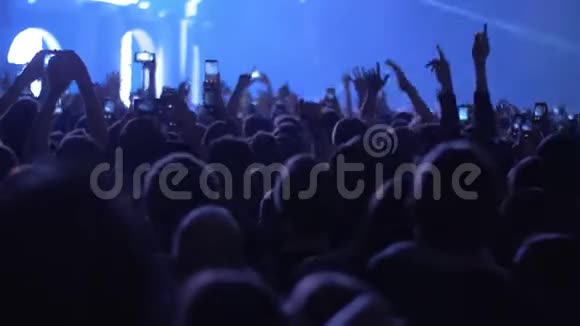 音乐会上跳舞的音乐迷视频的预览图