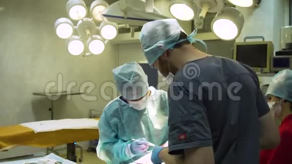 一只狗在兽医诊所的外科手术视频的预览图