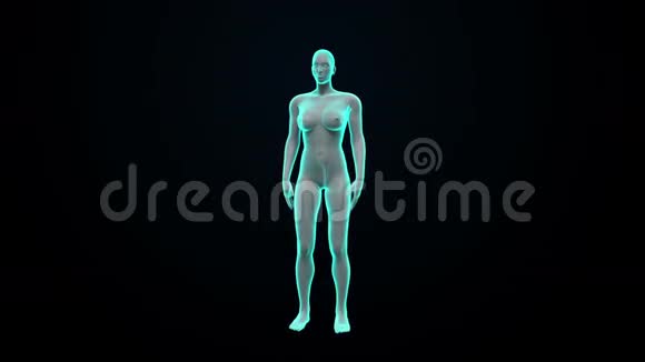 扫描女性身体的肾脏X光透视视频的预览图