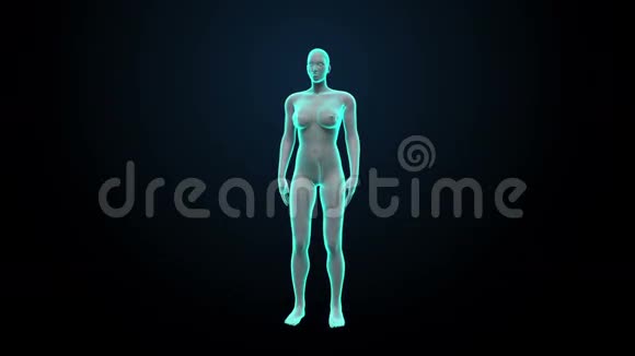 女性身体的脑部扫描X光透视视频的预览图
