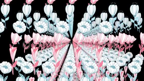 动画中画花的背景美丽的花卉背景视频的预览图