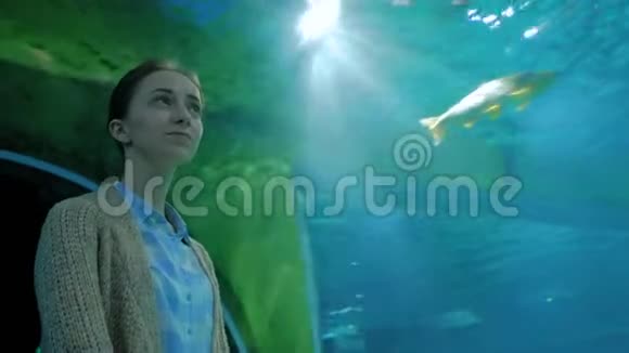 在海洋馆的大型公共鱼缸里看鱼的女人视频的预览图