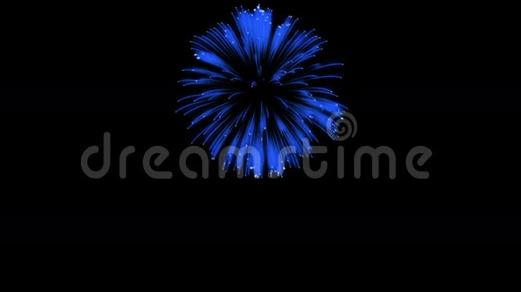色彩斑斓的单根烟火在夜晚壮观的单一烟花3D渲染蓝色版本37视频的预览图
