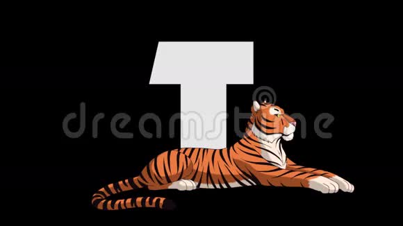 字母T和老虎前景视频的预览图