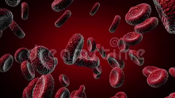 红细胞作为医学插图是一个三维图像文字是写的视频的预览图