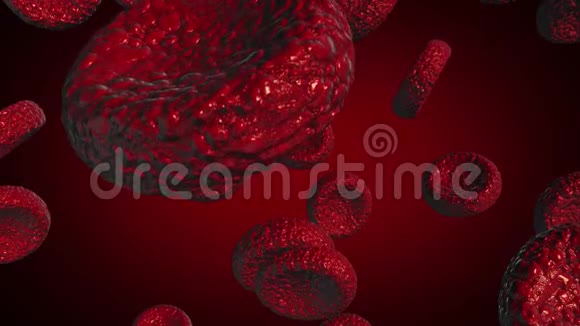 红细胞作为医学插图是一个三维图像文字是写的视频的预览图