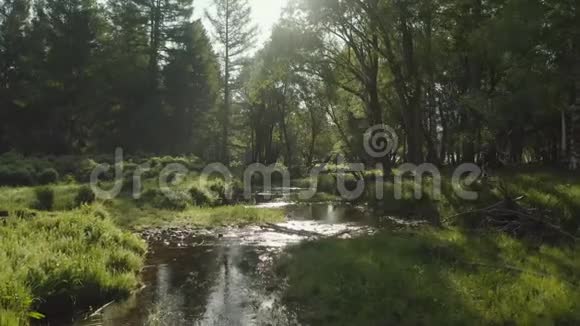 空中拍摄森林河流国家公园欧洲朝阳史诗景观视频的预览图