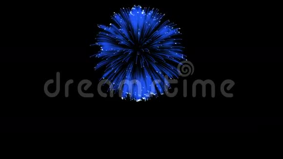 色彩斑斓的单根烟火在夜晚壮观的单一烟花3D渲染蓝色版本29视频的预览图
