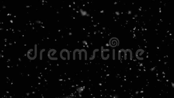 雪冬季降雪在黑色背景上落下真实的雪花循环动画视频的预览图