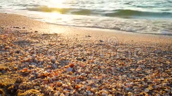 美丽的海浪视频的预览图