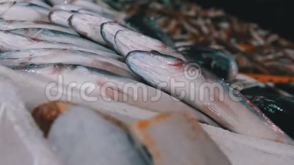 鲜海冰鱼在海鲜街市场的展厅出售视频的预览图