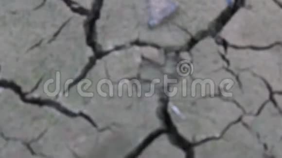 旱灾视频的预览图