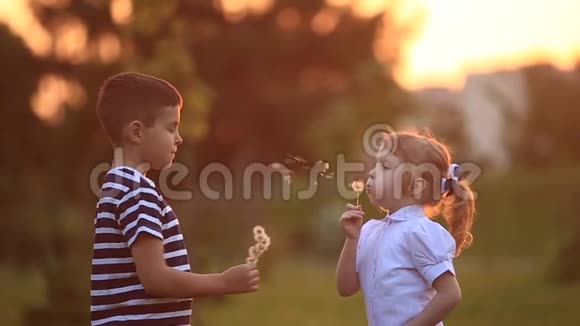 小男孩和小女孩跑着玩他们吹蒲公英日落视频的预览图