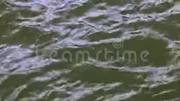 水面的水波视频的预览图