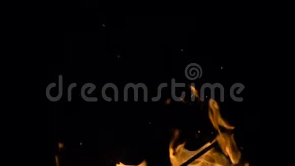 燃烧着的火焰视频的预览图
