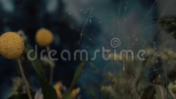 骷髅狐狸在一束花中枯萎了向日葵花束视频的预览图
