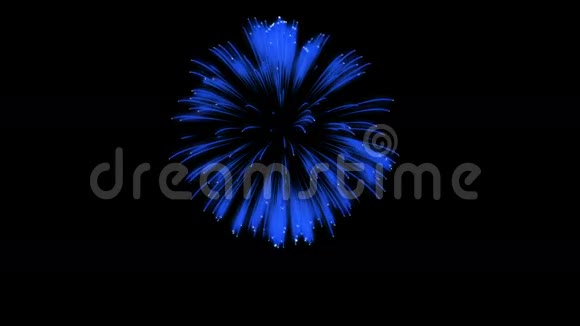 色彩斑斓的单根烟火在夜晚壮观的单一烟花3D渲染蓝色版本35视频的预览图