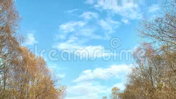 美丽的秋江库班河俄罗斯视频的预览图