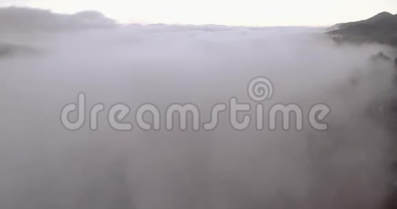 在森林上空飘着雾视频的预览图