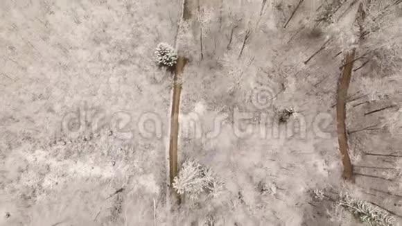 无人机飞越冬季的风景视频的预览图