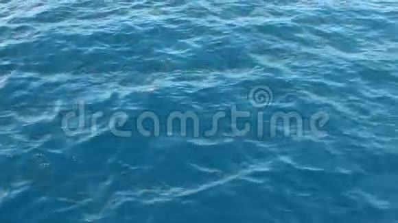 马尔代夫的蔚蓝水面视频的预览图
