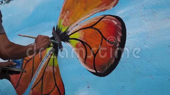 墙画家在混凝土墙上画一只蝴蝶时间间隔视频的预览图