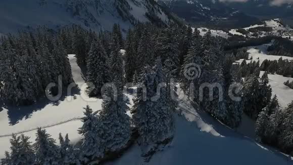 无人机飞越冬季的风景视频的预览图