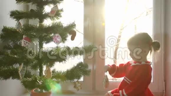 那个穿红色裙子的小女孩用姜饼装饰圣诞树视频的预览图