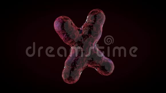 暗背景上的动画XY染色体视频的预览图