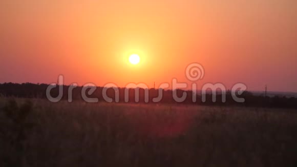 田野上空金色的夕阳视频的预览图