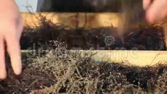 派克珀奇孵化场视频的预览图
