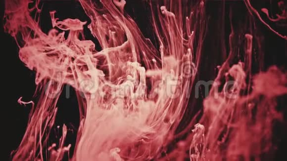 水中流动的抽象红色墨水颜色视频的预览图