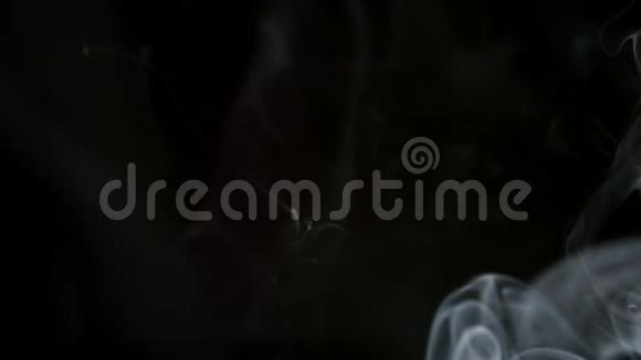 流动趋势曲线烟雾在黑暗的背景上升起视频的预览图