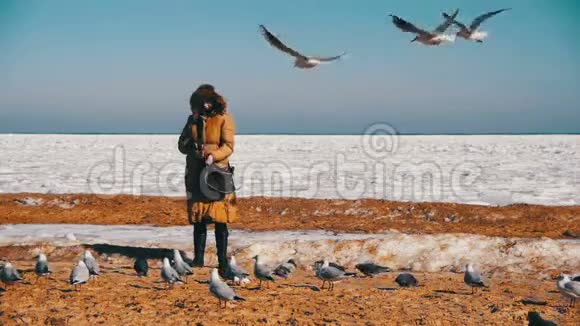女人为饥饿的海鸥飞翔在冰封的海面上慢动作视频的预览图