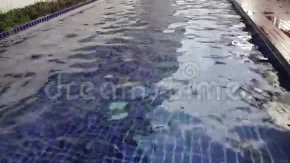 游泳池清洁用水视频的预览图